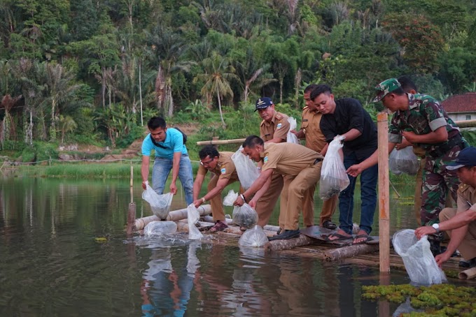 Wakil Bupati Garut Dr.Helmi Budiman Sebar Benih Ikan di Ranca Gede Desa Sukanagara Kecamatan Peundeuy Kabupaten Garut